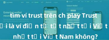 tìm ví trust trên ch play Trust Wallet có phải là ví điện tử tốt nhất tại Việt Nam không?